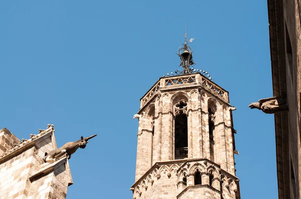 Kathedraal van Barcelona — Stockfoto
