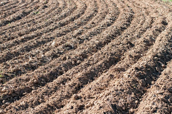 Detalhe de um campo arado — Fotografia de Stock