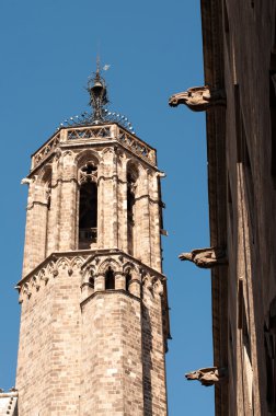barcelona katedrali