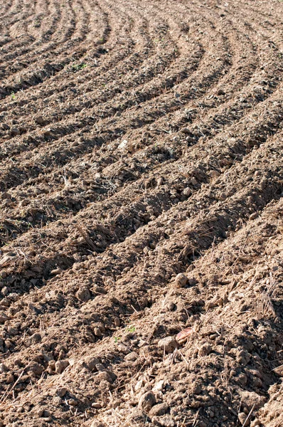 Detail of a plowed field — Stock Photo, Image
