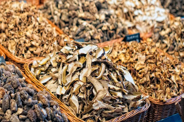 모듬된 버섯 — 스톡 사진