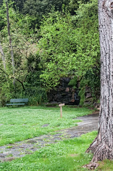 Park with bench — Stock Photo, Image