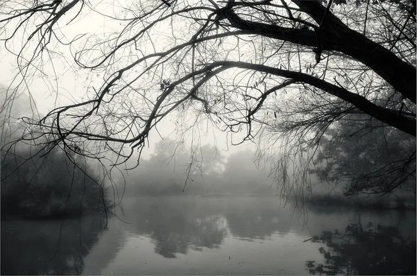 Misterioso paesaggio — Foto Stock