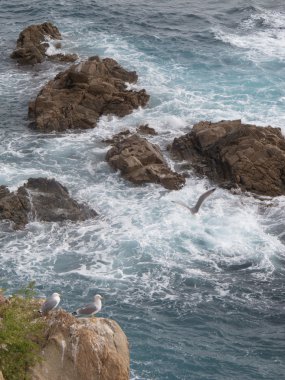Costa brava uçurumlar