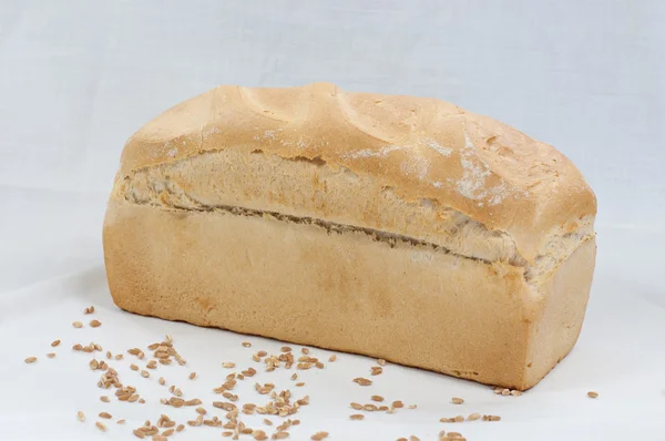 Espelta especial de pan — Foto de Stock