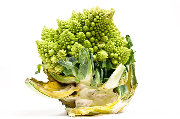 Romanesco brokoli — Stok fotoğraf