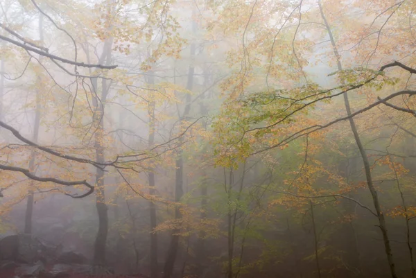 Podzimní krajina — Stock fotografie