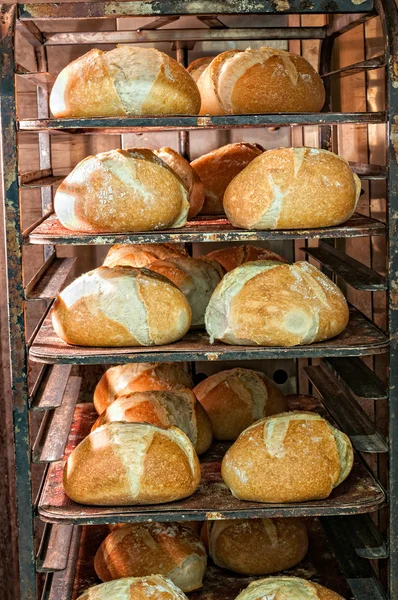 Bread oven — Stock Photo, Image