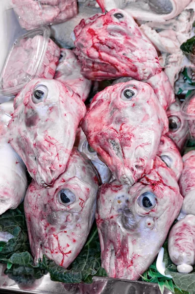 Cabeças de cordeiro — Fotografia de Stock