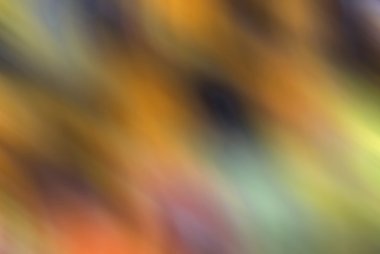 hareketli arka planlar