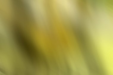 hareketli arka planlar