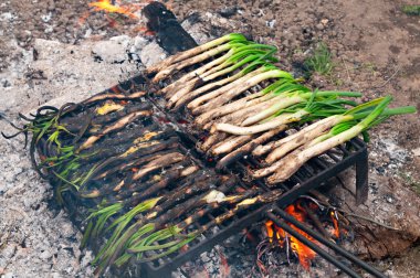 Barbekü üzerinde calsots