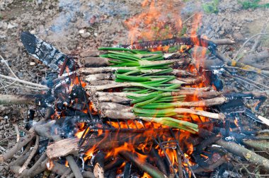 calsots on the barbecue clipart