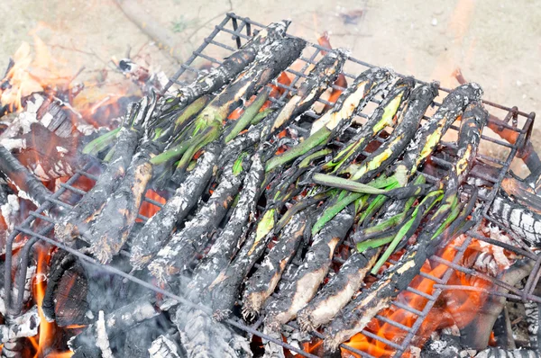 Calsots a barbecue — Stock Fotó