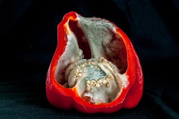 Rotten pepper — Stock Photo, Image