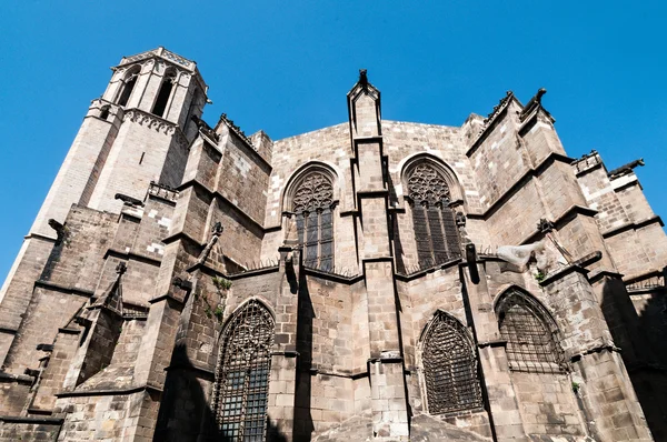 Katedral barcelona — Stok fotoğraf