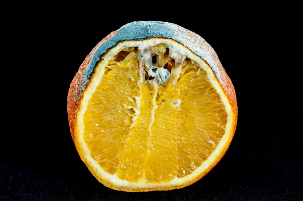 Orange pourri — Photo