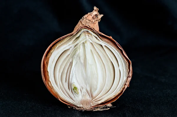 Σάπια κρεμμύδι — Φωτογραφία Αρχείου