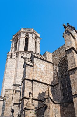 katedral barcelona