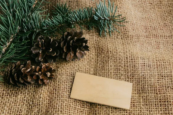 Tinsel, çam kozalakları. Yankı bileşimi.