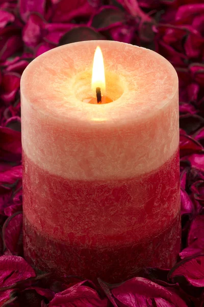 Close up to the candle on rose petals Stock Photo