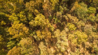 Mazzarino, Caltanissetta, Sicilya, İtalya ve Avrupa yakınlarındaki Erei Dağlarının Hava Görüntüsü