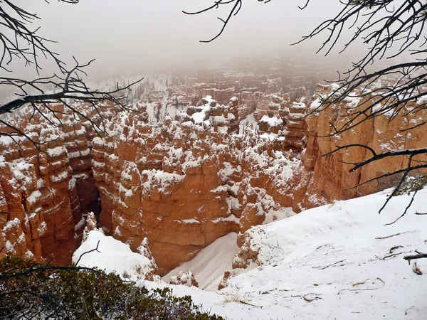 Bryce Canyon, Utah in inverno — Foto Stock