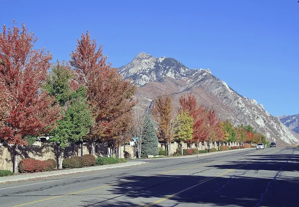 Kolory jesieni w piaszczyste Obrazek Stockowy