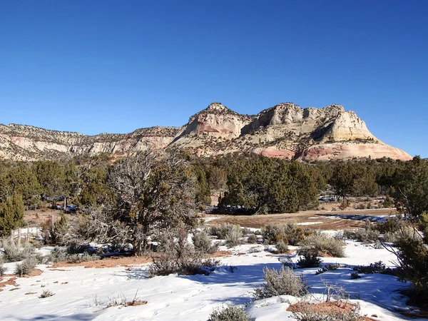 Inverno nell'Alto Deserto — Foto Stock