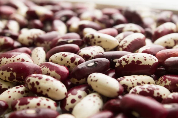 Beans background — Stock Photo, Image