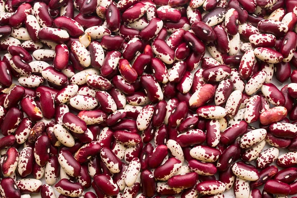 Bean background — Stock Photo, Image