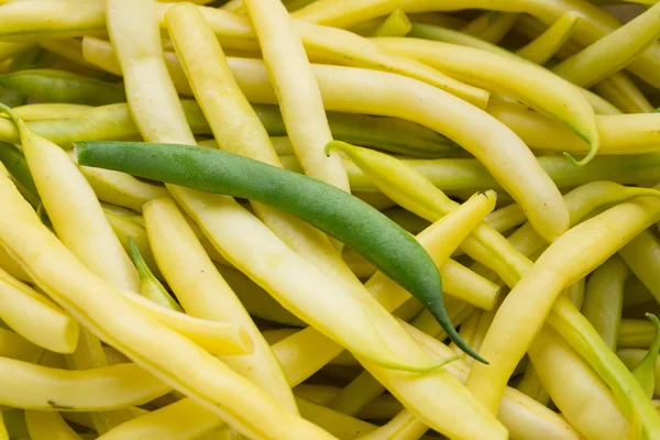 Green pod on yellow haricot — Stock Photo, Image