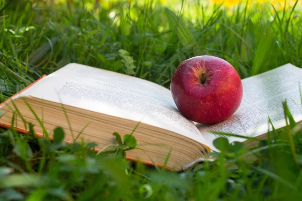 Book on grass