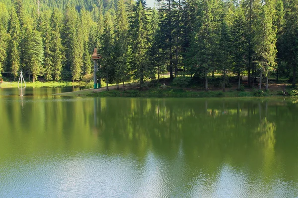 stock image Lake in forest