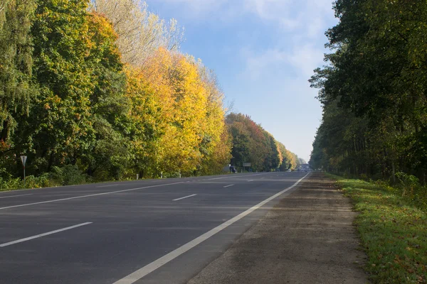 Autumn — Stock Photo, Image