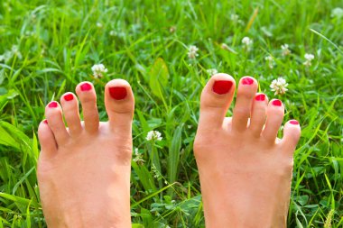 legs on green grass