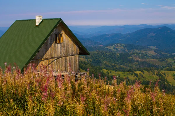 House — Stock Photo, Image