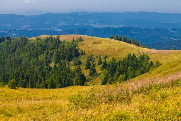 Berglandschap — Stockfoto