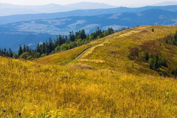 Horská silnice krajina — Stock fotografie