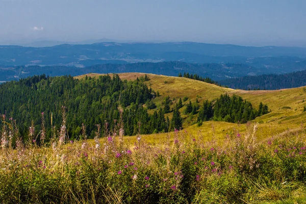 Hory krajina — Stock fotografie