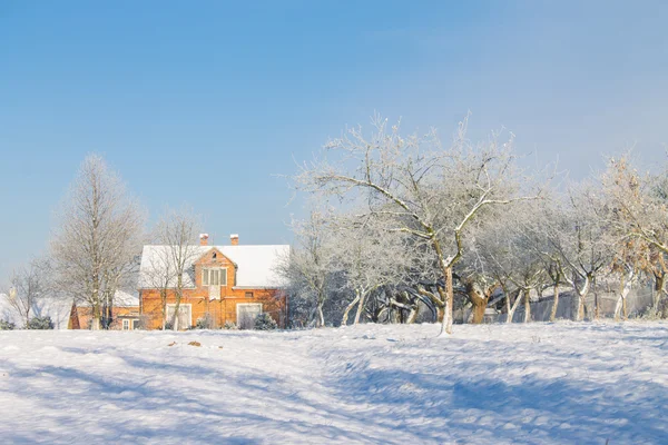 Dům a zahrada v zimě — Stock fotografie