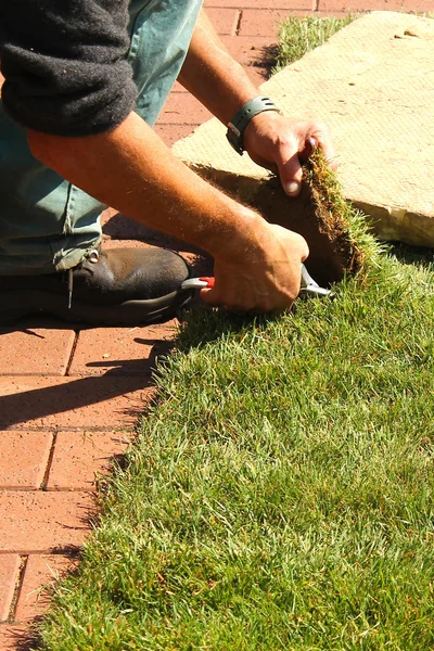 Mann arbeitet im Garten — Stockfoto