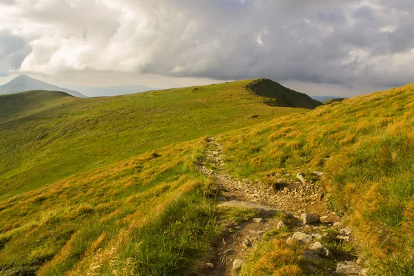 Chemin en montagne — Photo