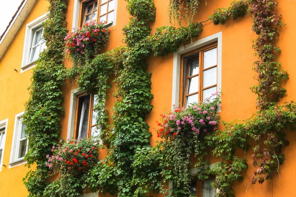 House in flowers — Stock Photo, Image