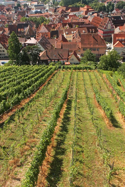 Vine fält nära gamla staden — Stockfoto