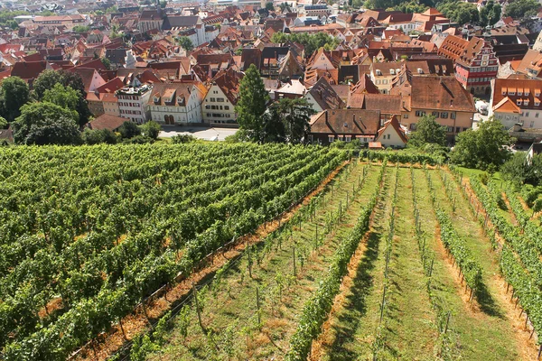 Campos de vino y ciudad — Foto de Stock