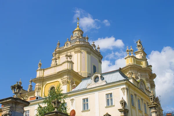 Old cathedral in Lviv Royalty Free Stock Photos