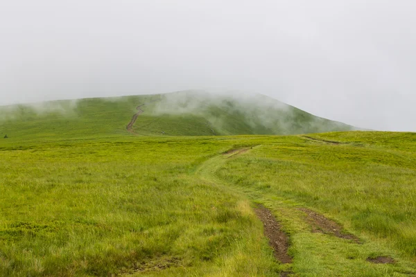 Route de montagne brumeuse — Photo