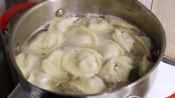 将自制饺子放在平底锅里 用开水煮 用月桂叶煮成肉汤 — 图库视频影像