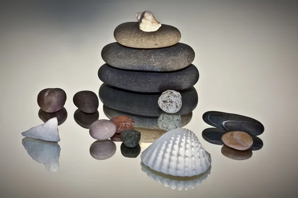 Pedras e conchas — Fotografia de Stock